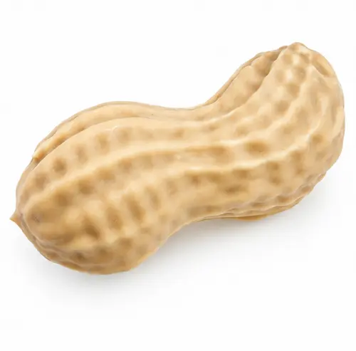 mousse légère cacahuètes grillées/ vanille, crémeux cacahuètes grillées, caramel beurre salé cacahuètes et croustillant Dulcey cacahuètes 
